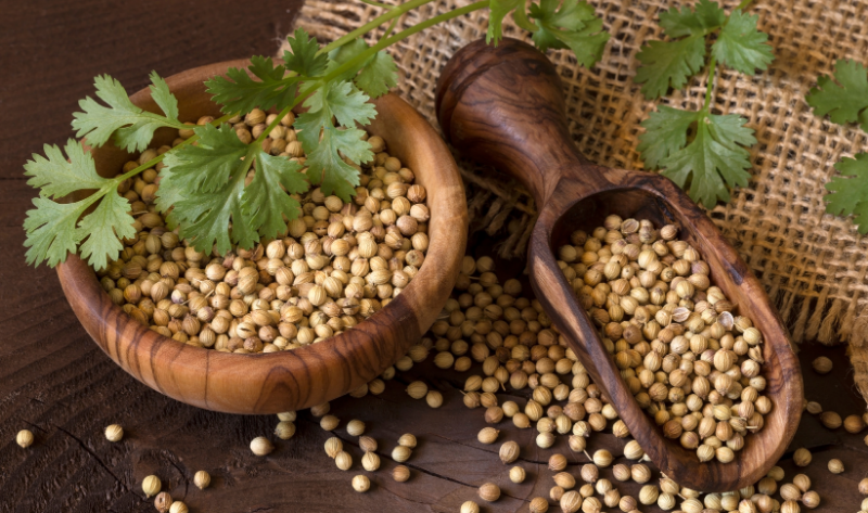 Coriander Seeds