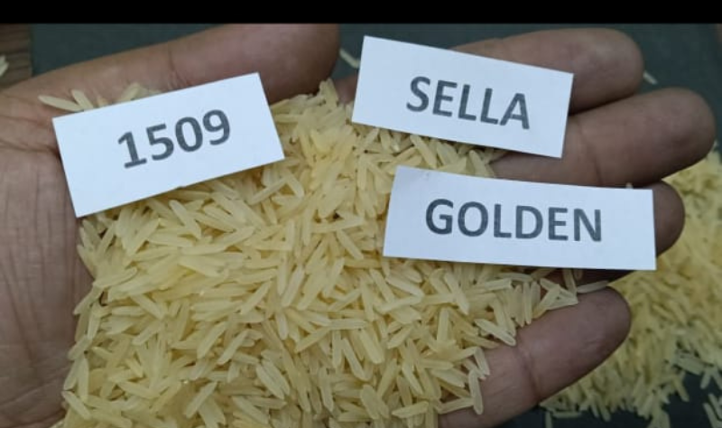 1509 Sella Golden